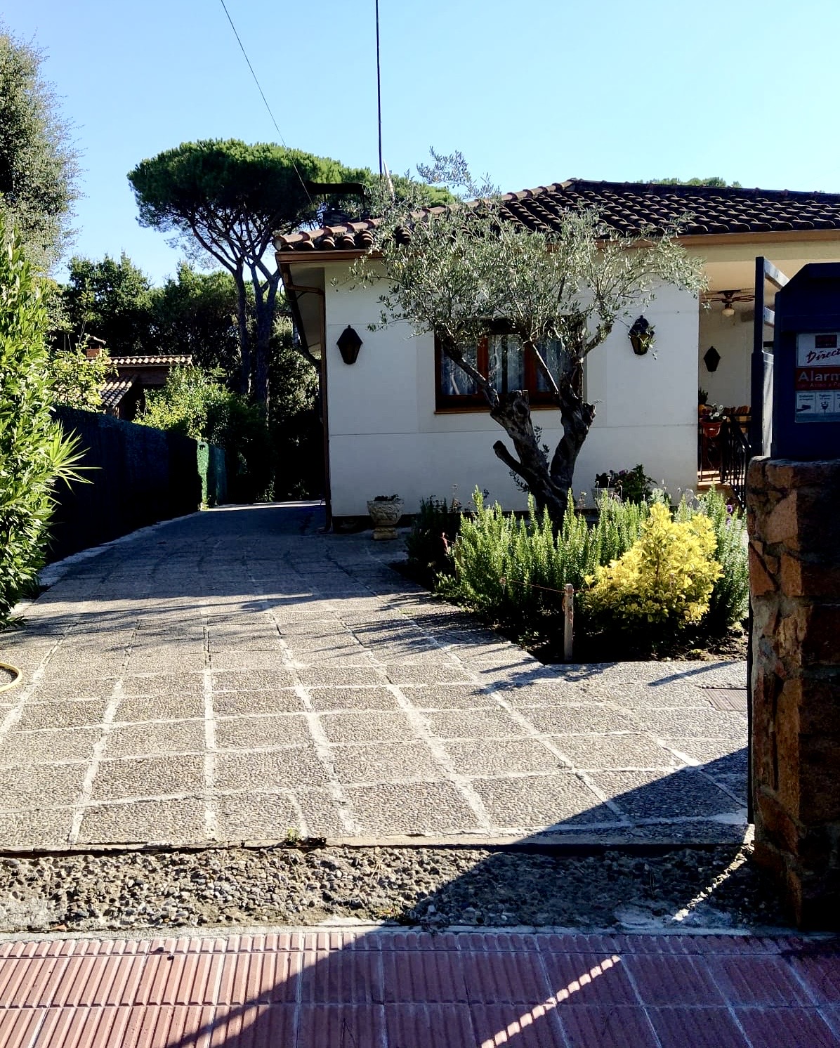 Jardín
