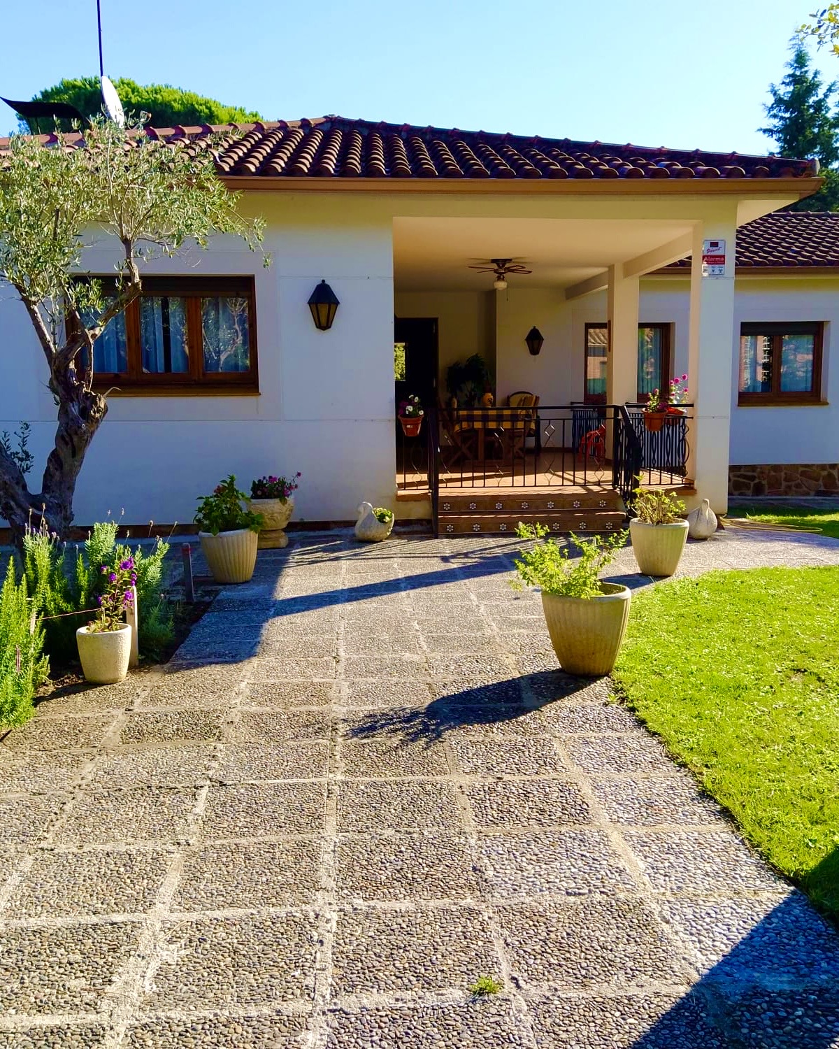 d29bb8f3-a7d6-4b87-83f7-3e16be80ad7b